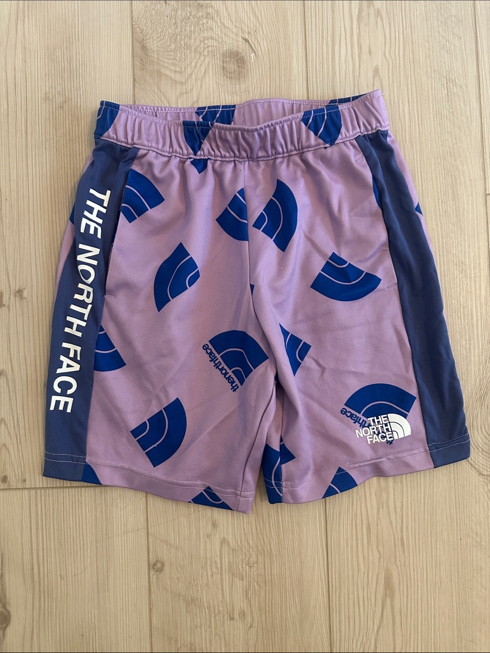 The North Face Purple Shorts with Blue Logo Panels • Youth Large